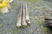 7 STRAINER/GATE POSTS - 3