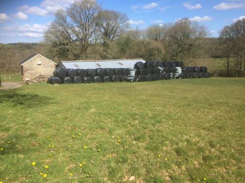 128 BALES OF ROUND BALE HAYLAGE