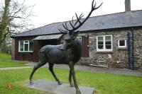 PAIR OF BRONZE STAGS - 3