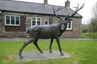 PAIR OF BRONZE STAGS - 8