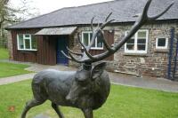 PAIR OF BRONZE STAGS - 15