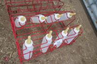 3 X 4 LAMB BOTTLE HOLDERS - 4