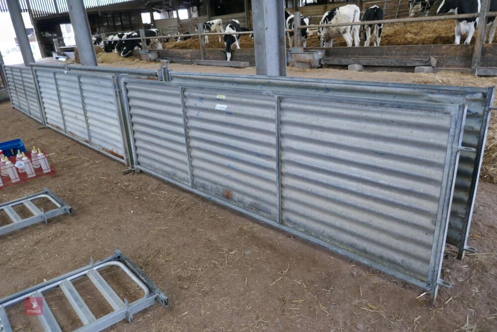 GALVANISED POLDENVALE SHEEP RACE