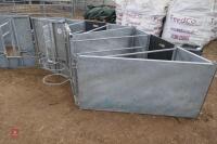 GALVANISED 3 SHEEP LAMB ADOPTERS - 11