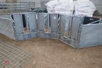 GALVANISED 3 SHEEP LAMB ADOPTERS - 12