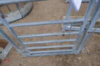 GALVANISED SHEEP PEN GATE - 2