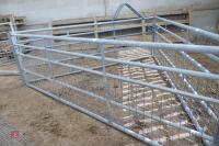 10' GALVANISED GATE - 5