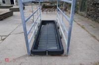 CATTLE FOOTBATH CRATE - 7