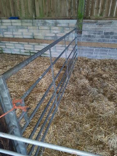 12' GALVANISED GATE