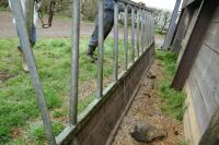 15' CATTLE FEED BARRIER - 5