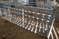 10' GALVANISED GATE