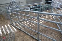 10' GALVANISED GATE - 5