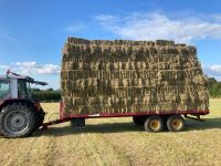 250 CONVENTIONAL BALES ORGANIC HAY