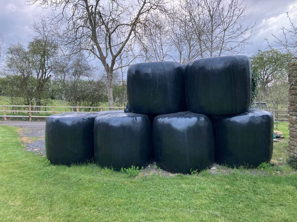 25 ROUND BALES OF 1ST CUT ORGANIC HAYLAGE (BIDS PER BALE)