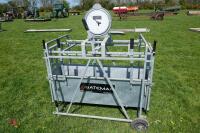 BATEMAN LAMB WEIGHER - 3