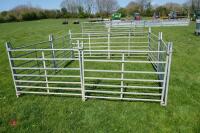 8 X 4' GALVANISED SHEEP HURDLES