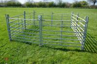 8 X 4' GALVANISED SHEEP HURDLES - 2