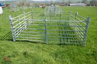 8 X 4' GALVANISED SHEEP HURDLES - 3