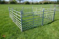 8 X 4' GALVANISED SHEEP HURDLES - 4