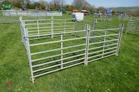 8 X 4' GALVANISED SHEEP HURDLES - 5