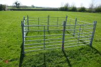 8 X 4' GALVANISED SHEEP HURDLES - 7