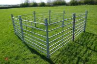 8 X 4' GALVANISED SHEEP HURDLES - 9