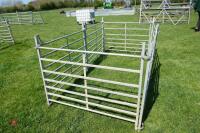 6 x 4' GALVANISED SHEEP HURDLES - 5