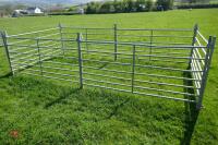 6 X 6' GALVANISED SHEEP HURDLES - 2