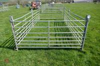 6 X 6' GALVANISED SHEEP HURDLES - 7