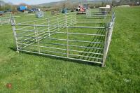 8 GALVANISED SHEEP HURDLES - 5