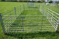 8 GALVANISED SHEEP HURDLES - 7