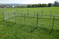 8 GALVANISED SHEEP HURDLES - 8