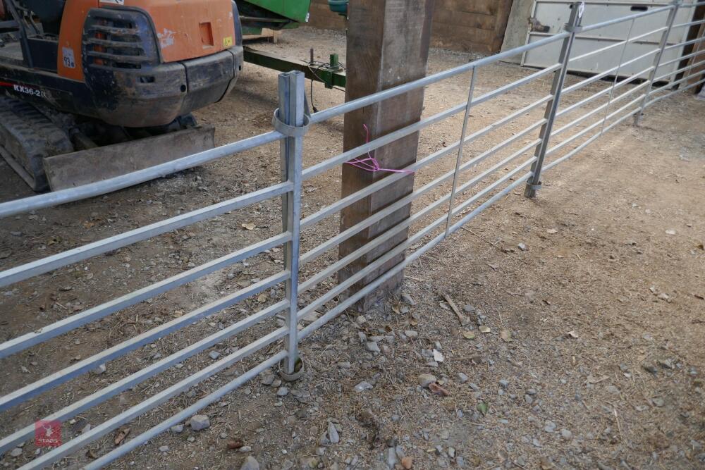 5 X 6' GALVANISED SHEEP HURDLES