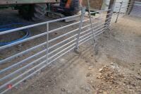 5 X 6' GALVANISED SHEEP HURDLES - 2