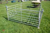 4 X 6' GALVANISED SHEEP HURDLES - 2