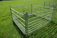 4 X 6' GALVANISED SHEEP HURDLES - 3