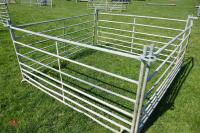 4 X 6' GALVANISED SHEEP HURDLES - 6