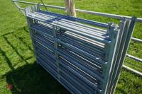 8 X 4' GALVANISED SHEEP HURDLES - 7