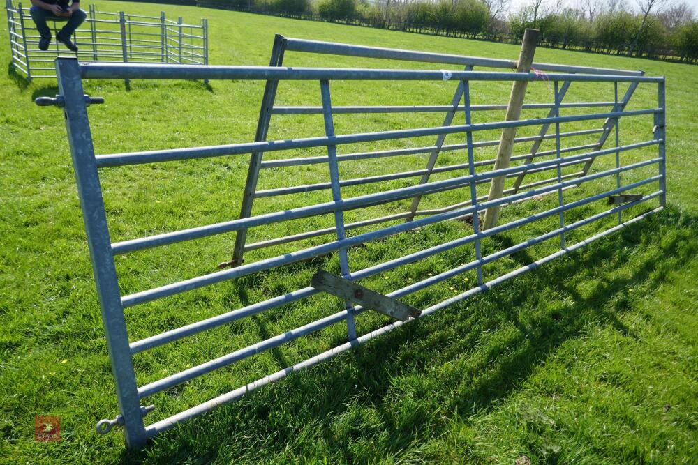 15' GALVANISED GATE