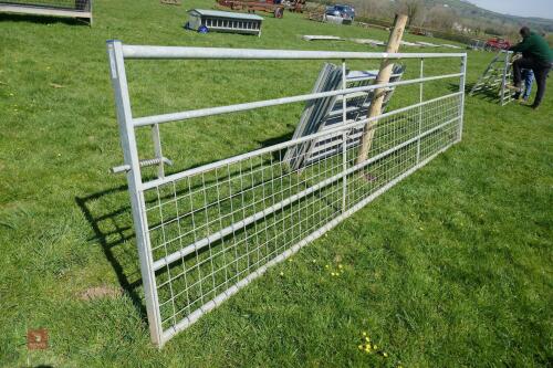 IAE 16' GALVANISED MESHED GATE