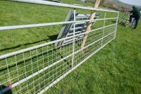 IAE 16' GALVANISED MESHED GATE - 4