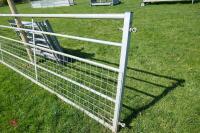 IAE 16' GALVANISED MESHED GATE - 7