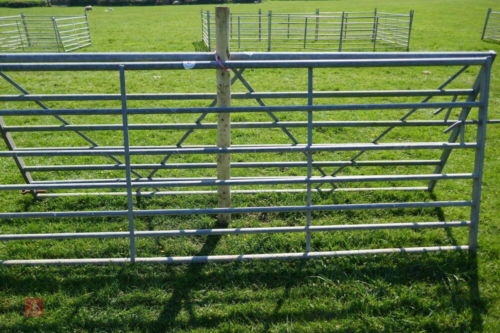 10' GALVANISED GATE