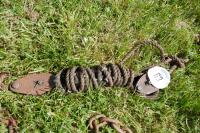 PULLEY & 4 LENGTHS OF CHAIN - 4