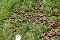 PULLEY & 4 LENGTHS OF CHAIN - 6