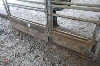 2 6FT 10" METAL FRAMED FEED BARRIERS - 8