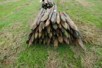 APPROX 50 WOODEN STAKES - 3