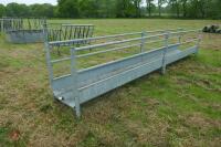 IAE GALV SHEEP WALKTHROUGH FEEDERS - 8