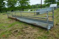 IAE GALV SHEEP WALKTHROUGH FEEDERS - 3