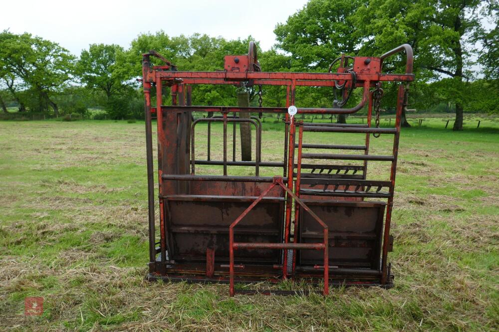 RED CATTLE FOOT TRIMMING CRUSH